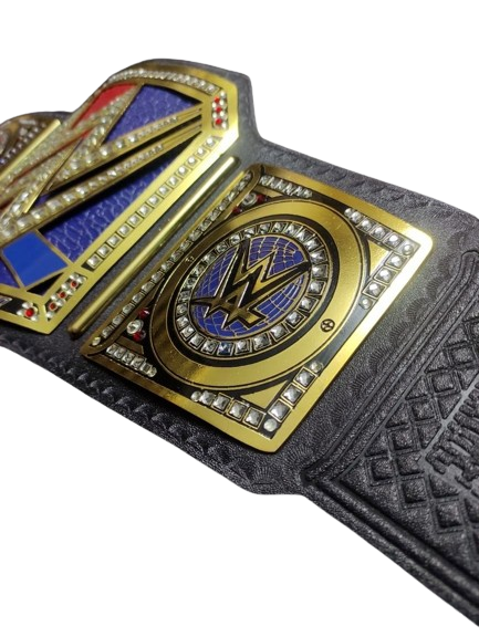 WWE Raw vs SmackDown Championship Belt