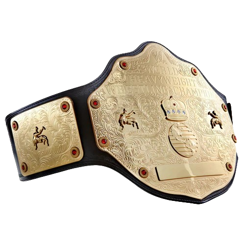 WWE Big Gold World Championship Belt