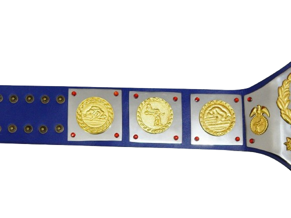 WWWF Tag Team Championship Belt