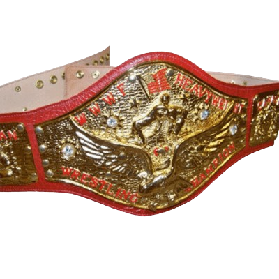 Bruno Sammartino WWE Championship Belt