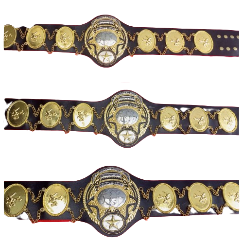 All Japan Pro Wrestling Heavyweight Belt