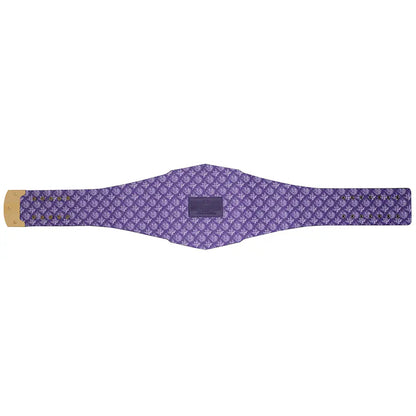Baltimore Ravens WWE Legacy Belt