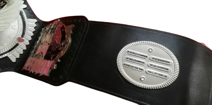 Bret Hart WWE Championship Title Belt