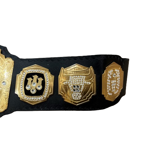 Chicago Bulls Basketball Championship Belt