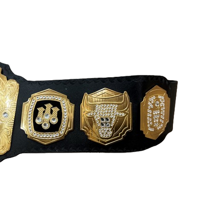 Chicago Bulls Basketball Championship Belt