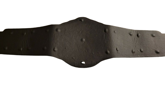 CM Punk WWE Championship Replica Belt