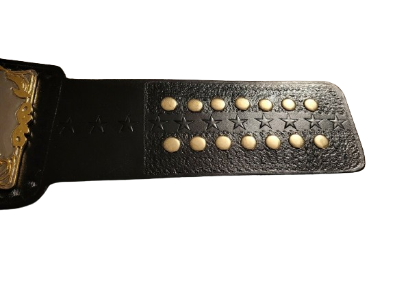 CM Punk WWE Championship Belt