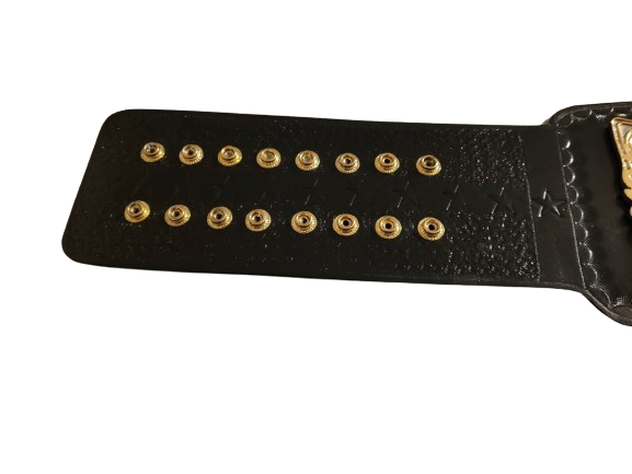 CM Punk WWE Championship Belt