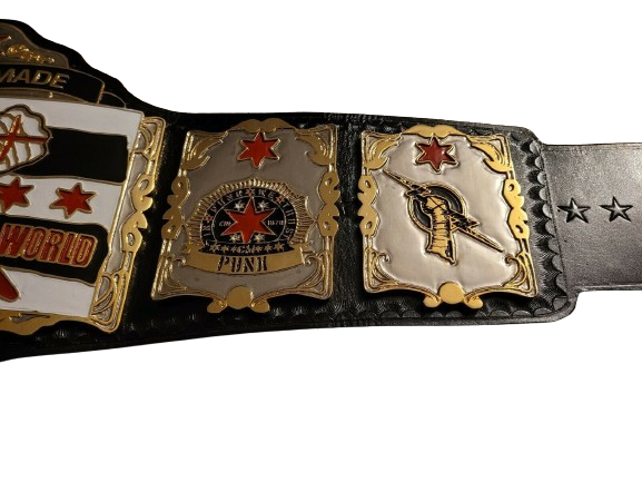 CM Punk WWE Championship Belt