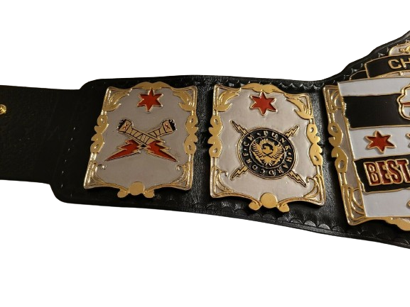 CM Punk WWE Championship Belt