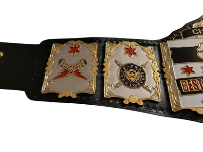 CM Punk WWE Championship Belt