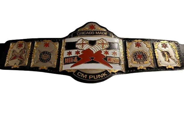 CM Punk WWE Championship Belt