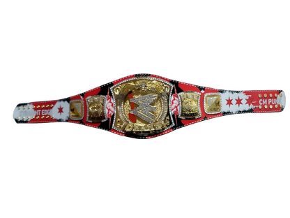 CM Punk WWE Spinner Championship Belt