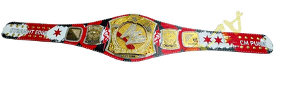 CM Punk WWE Spinner Championship Belt