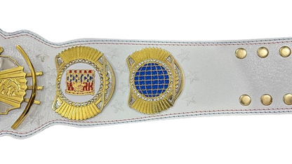 WWE Cody Rhodes Championship Belt
