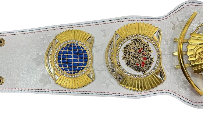 WWE Cody Rhodes Championship Belt