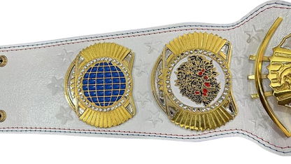 WWE Cody Rhodes Championship Belt
