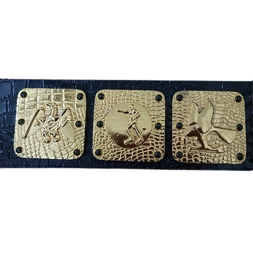 NWA Larry Zbyszko Championship Belt