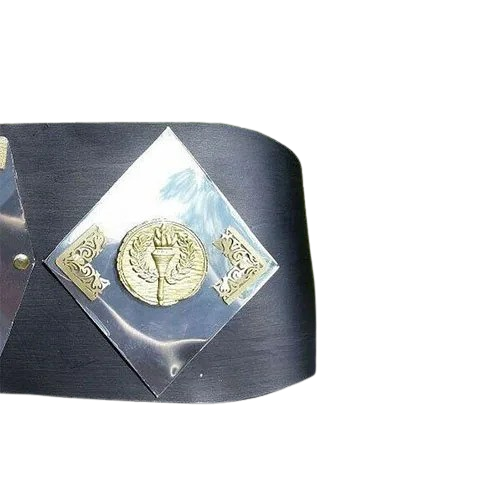 NWA World Tag Team Belt