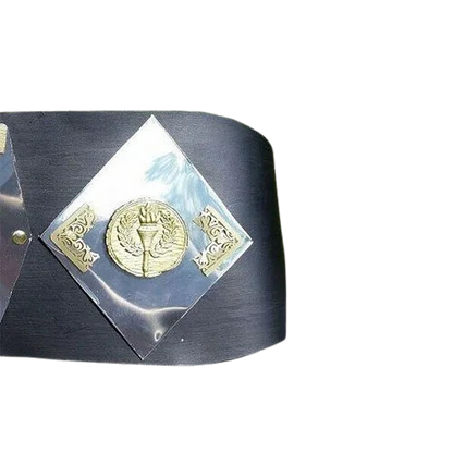 NWA World Tag Team Belt