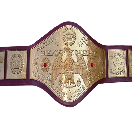 NWA Wrestling Champion Replica Belt