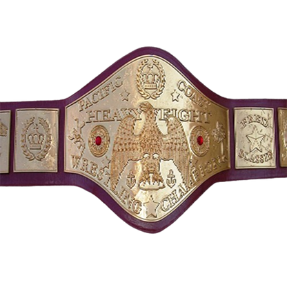 NWA Wrestling Champion Replica Belt