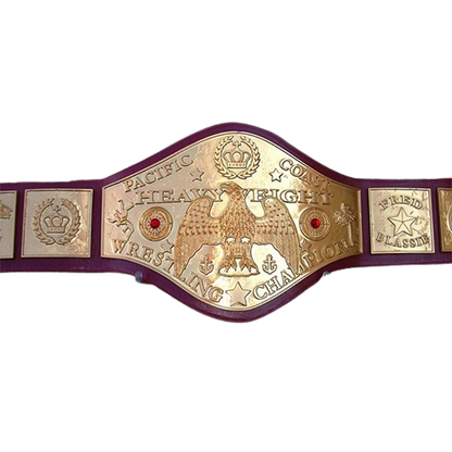 NWA Wrestling Champion Replica Belt