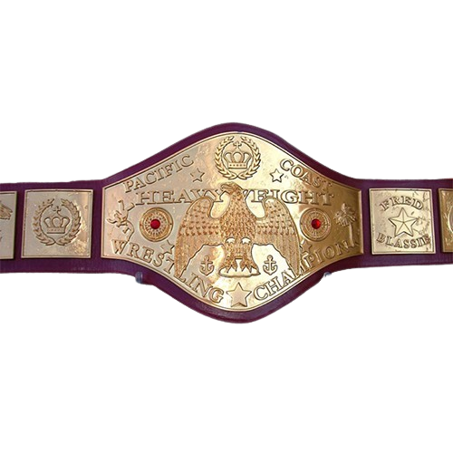 NWA Wrestling Champion Replica Belt