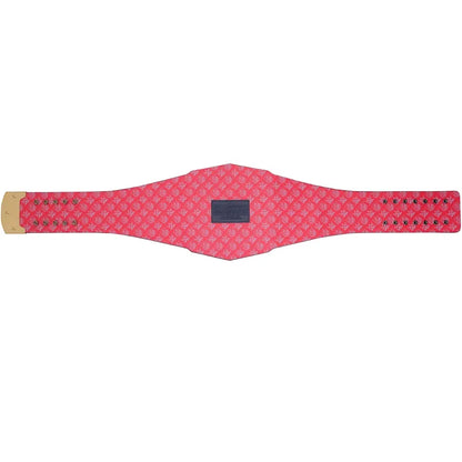 Houston Texans WWE Legacy Belt