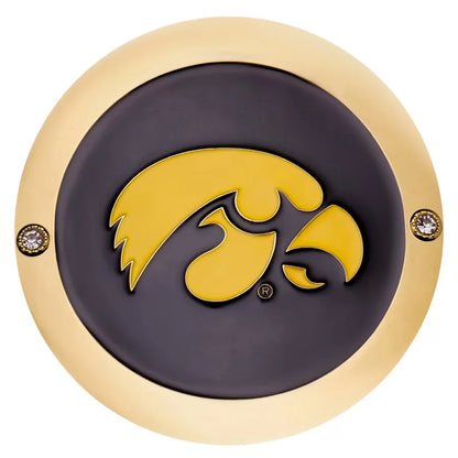 Iowa Hawkeyes Championship Belt Set