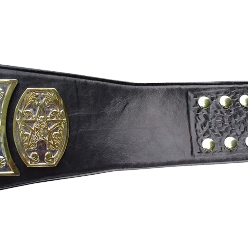 UWF Television Championship Wrestling Belt