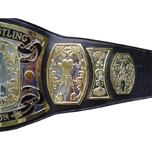 UWF Television Championship Wrestling Belt