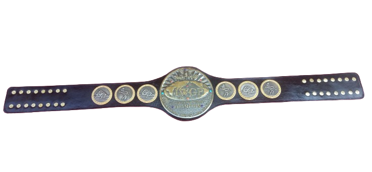 IWGP Junior Heavyweight Championship Belt
