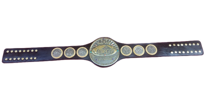 IWGP Junior Heavyweight Championship Belt