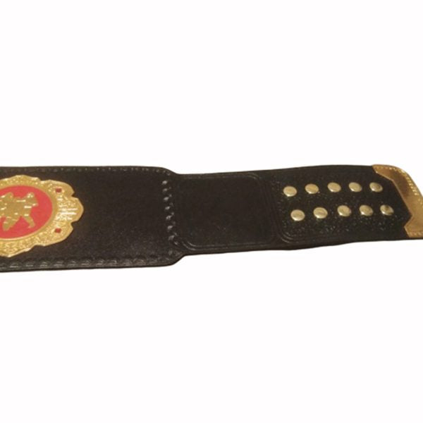 IWGP NEVER Six-Man Tag Belt