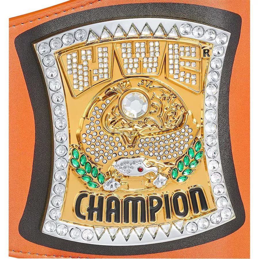 John Cena WWE Championship Belt