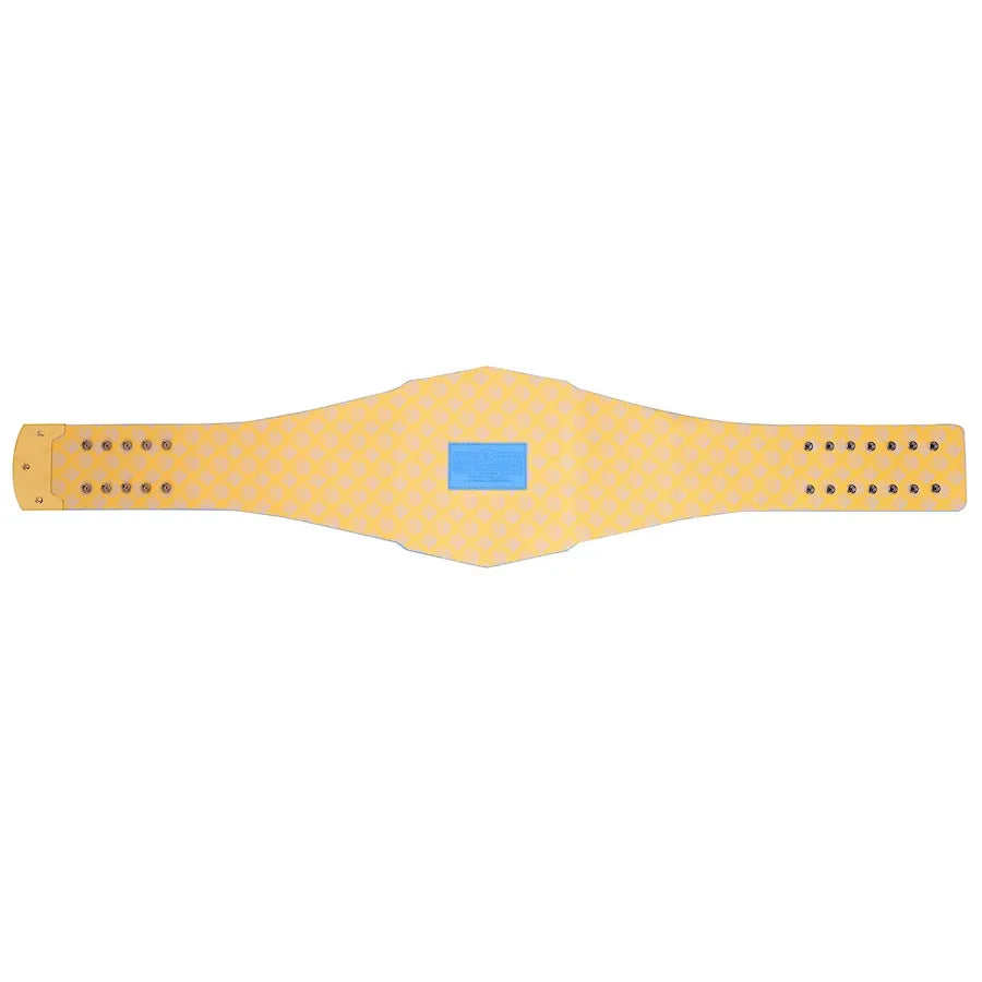 WWE Los Angeles Chargers Legacy Belt