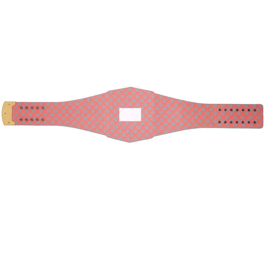 WWE Miami Dolphins Legacy Belt
