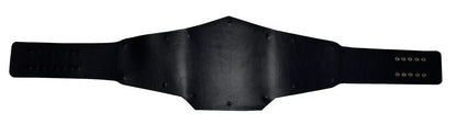 NWO World Heavyweight Replica Belt