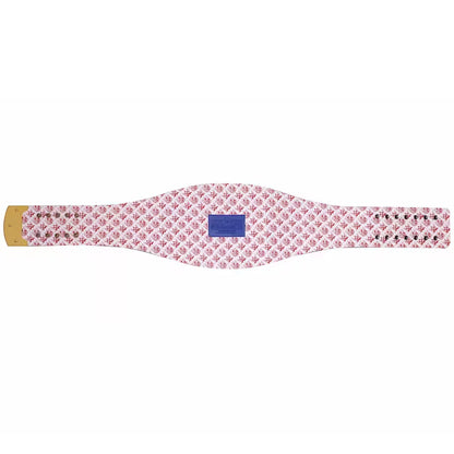 New York Giants WWE Legacy Belt