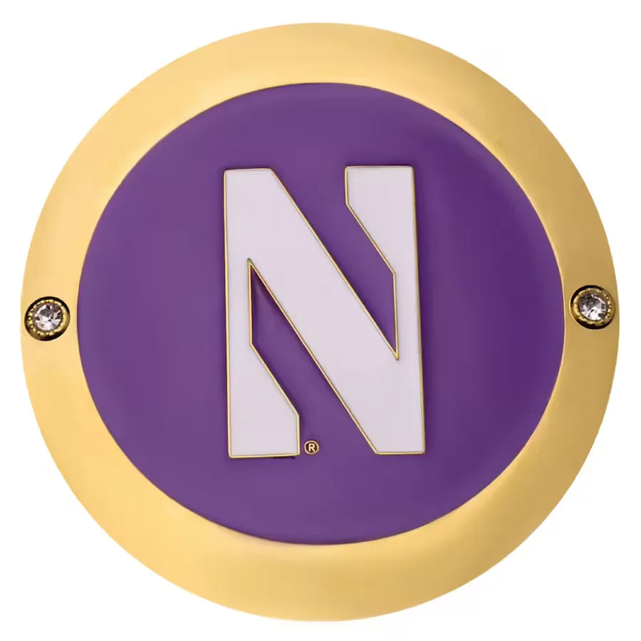 Northwestern Wildcats Championship Belt Set