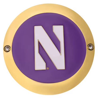 Northwestern Wildcats Championship Belt Set