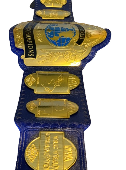 NWA Tag Team Wrestling Belt