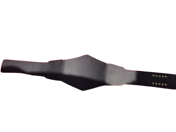 WWE NXT Tag Team Belt
