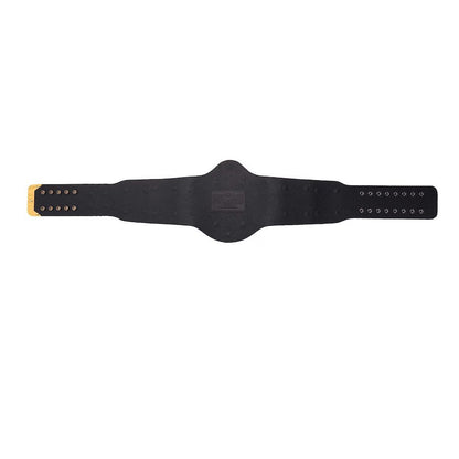 WWE Winged Eagle Championship Belt