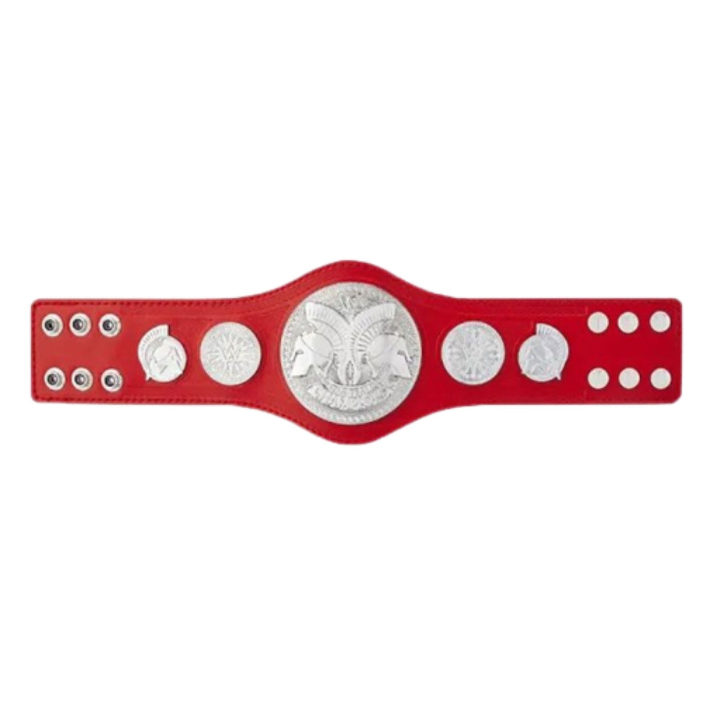 RAW WWE Tag Team Belt Kids