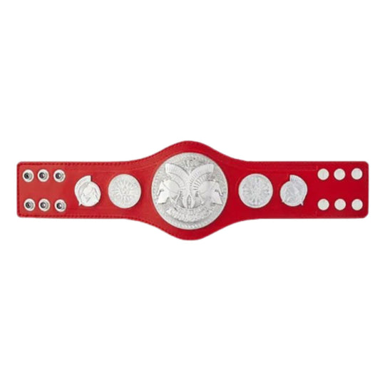 RAW WWE Tag Team Belt Kids