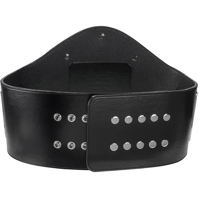 Pride MMA Heavyweight Championship Belt