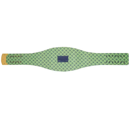 WWE Seattle Seahawks Legacy Belt
