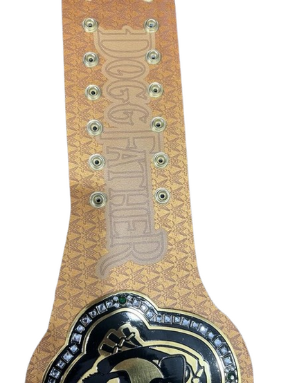 WWE Snoop Dog Championship Belt